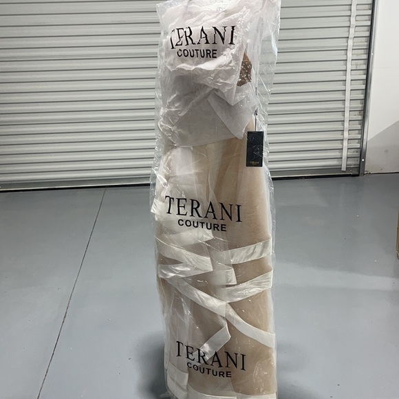 Charming prom Terani 2 pc ensemble. - Picture 3 of 4